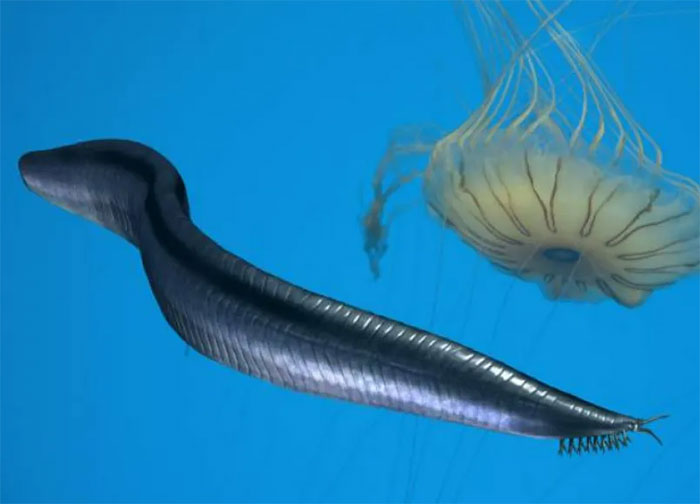 Picture 7 of 'Fainting' at the appearance of ancient Earth creatures, looking like alien monsters