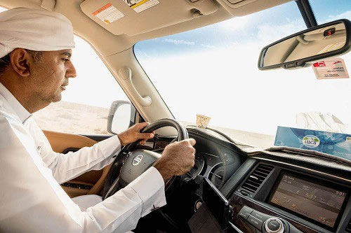 Falcon training: A profession that makes millions of dollars in the Middle East Picture 2
