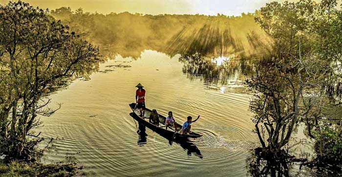 Picture 5 of Fascinating beauty of Hue mangrove forest in leaf changing season
