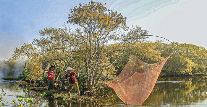 Picture 7 of Fascinating beauty of Hue mangrove forest in leaf changing season