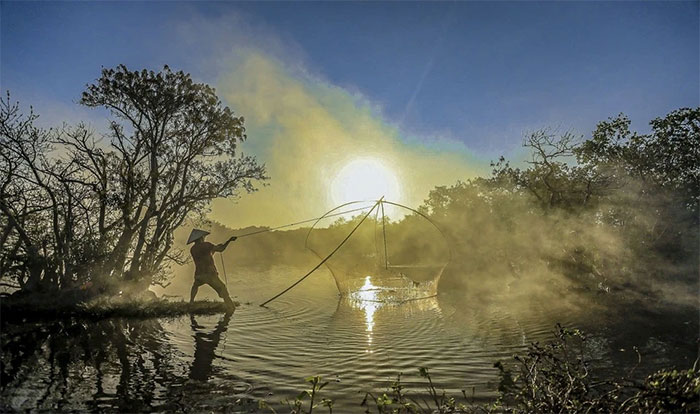 Picture 8 of Fascinating beauty of Hue mangrove forest in leaf changing season
