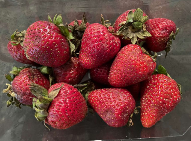 FDA warns: Strawberries may cause hepatitis A outbreak in US and Canada Picture 1