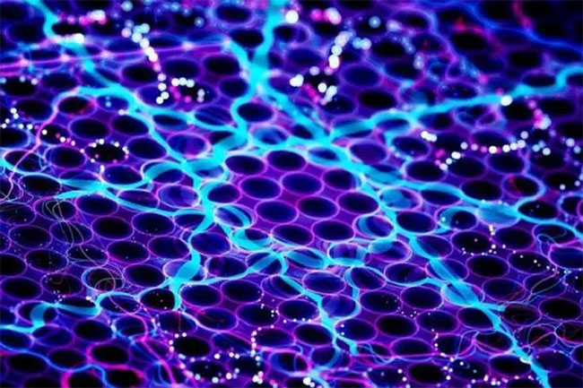 Find out toxic absorbers from the air Picture 2