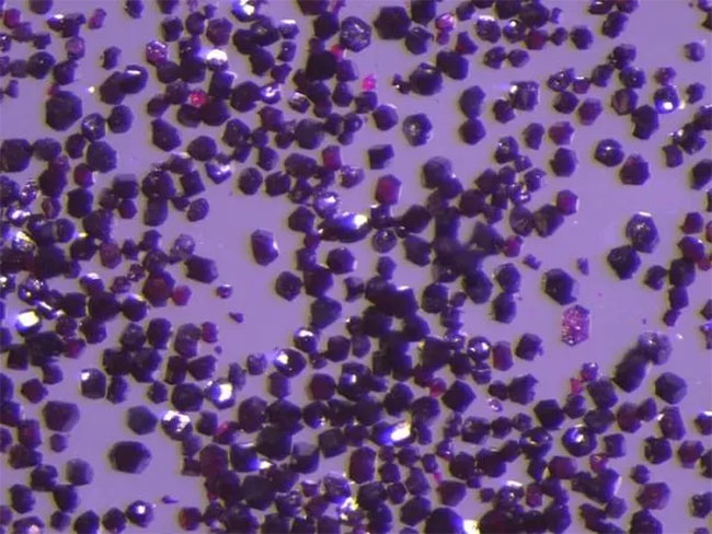 Find out toxic absorbers from the air Picture 3