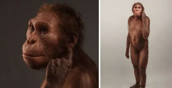 Picture 1 of Find the woman who has half-transformed between human and ape