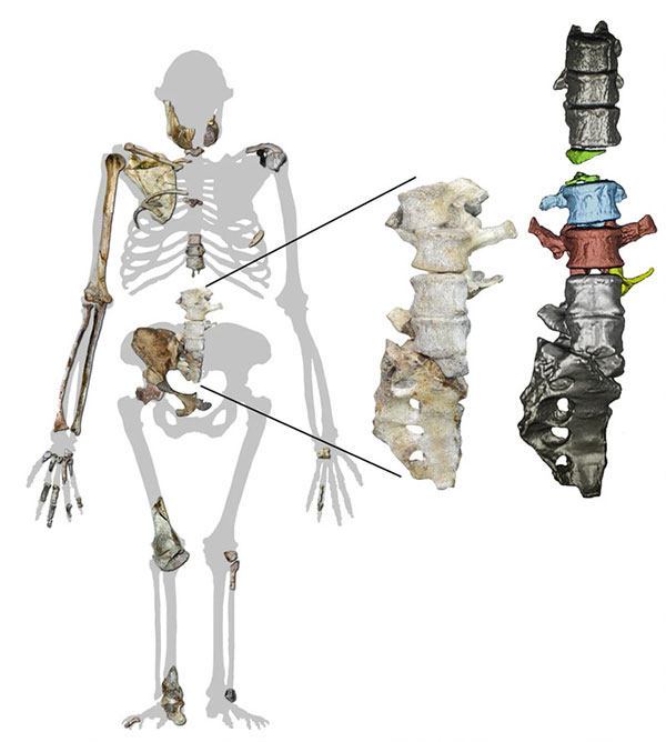 Picture 2 of Find the woman who has half-transformed between human and ape
