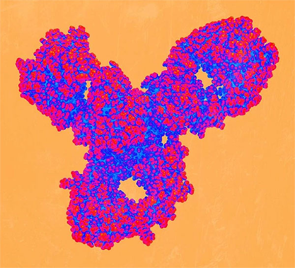 Finding the 'gateway' to deliver drugs to the brain Picture 2