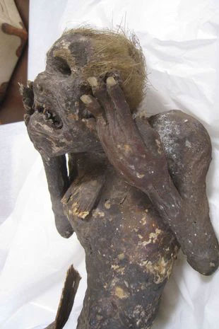 Finding the 'mermaid mummy', the expert said a sentence that surprised everyone Picture 3