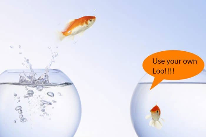 Picture 4 of Fish live in water but do they ever get thirsty?