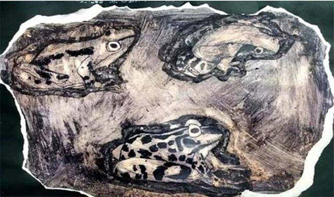 Picture 3 of Found 2 million-year-old frog still living in oil field: 'Key' of human longevity?