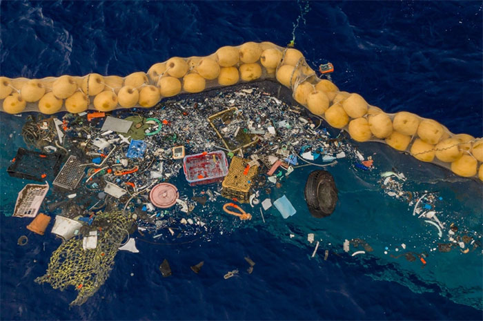 Picture 2 of Found microplastics in unexpected places
