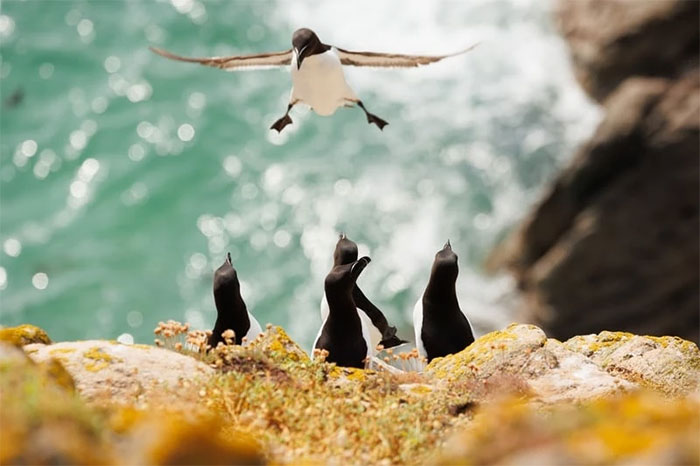 Funniest wild animal photos of 2024 Picture 15