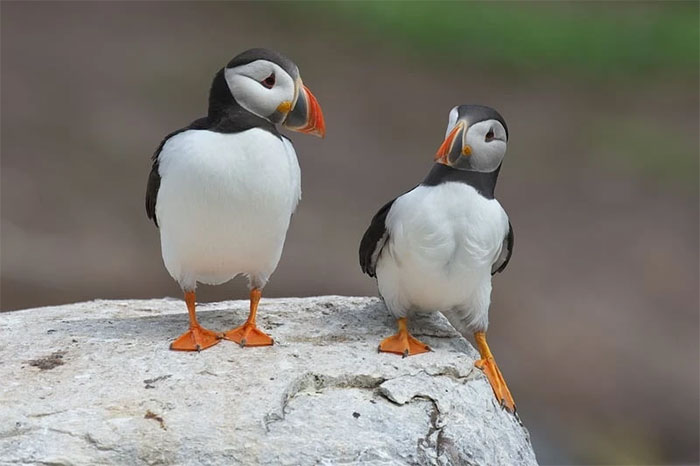 Funniest wild animal photos of 2024 Picture 18