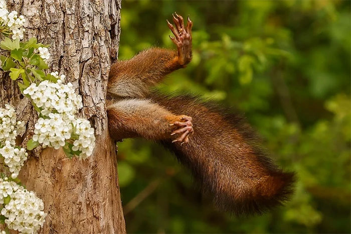 Funniest wild animal photos of 2024 Picture 24