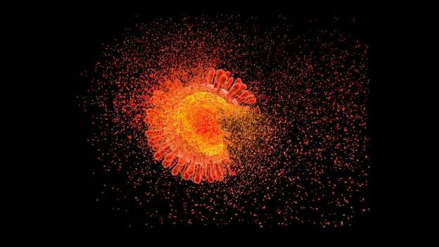 Picture 2 of Gene-editing drug development can cure HIV/AIDS?