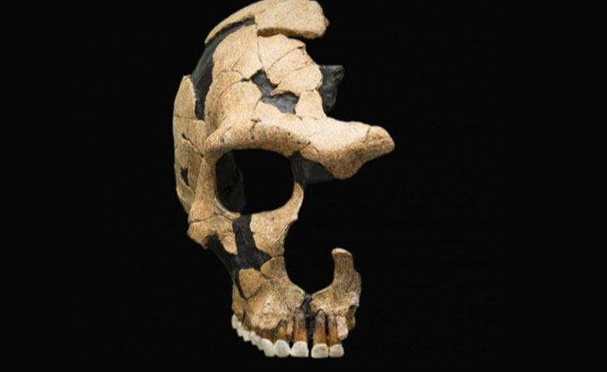 Picture 1 of 'Ghost humans' discovered leaving 'hybrid offspring' in 3 modern countries