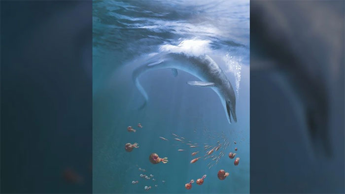 Picture 3 of Giant 17-meter-long sea monster reveals the secret of 'miracle evolution'