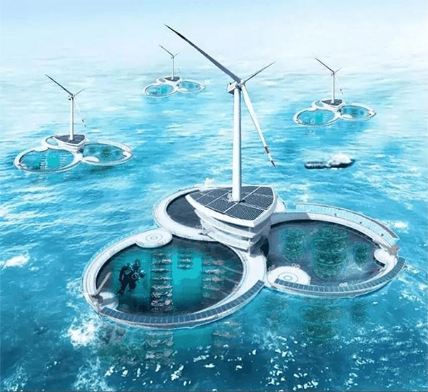Picture 4 of 'Grass Grazing + Solar' Model - Technology and Animals Coexistence on the Rise in the US