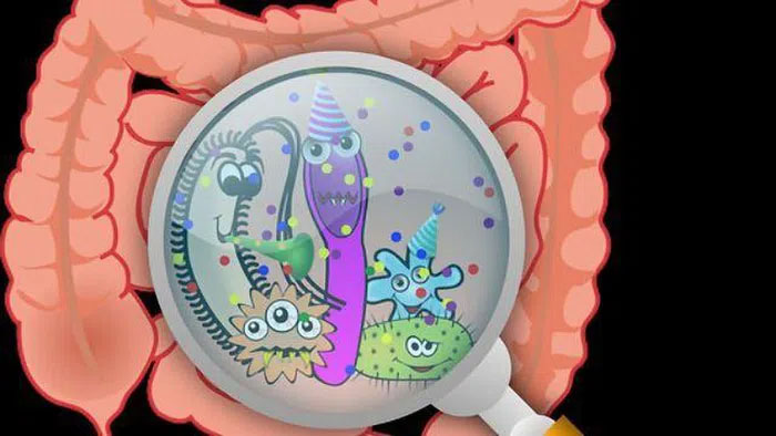 Gut bacteria may be the 'trigger' of different cravings in humans Picture 1