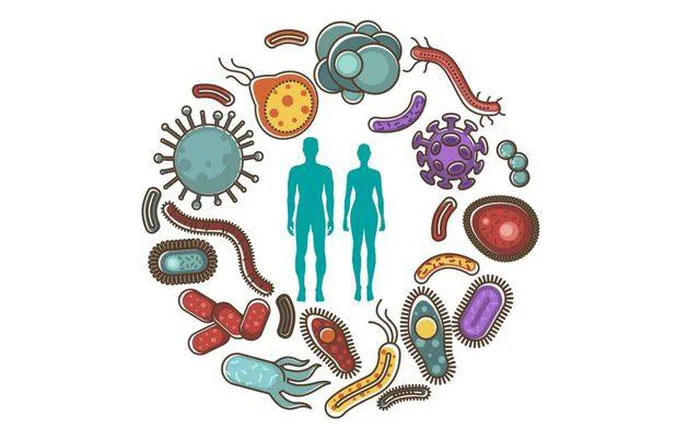 Gut bacteria may be the 'trigger' of different cravings in humans Picture 2