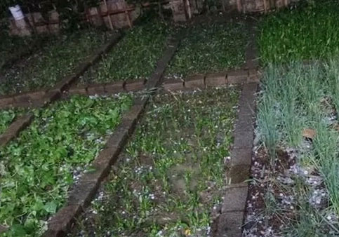 Hail covered a large area of ​​three Northwest provinces Picture 1