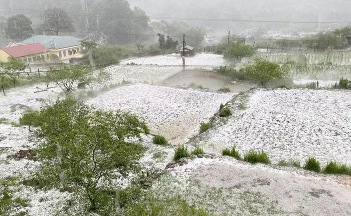 Hail covered a large area of ​​three Northwest provinces Picture 2