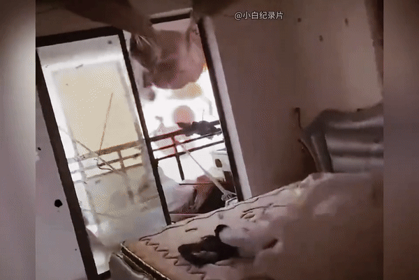 Picture 4 of Hail, deadly gusts of wind in China: Apartment and dormitory windows were torn apart, creating a horrifying scene