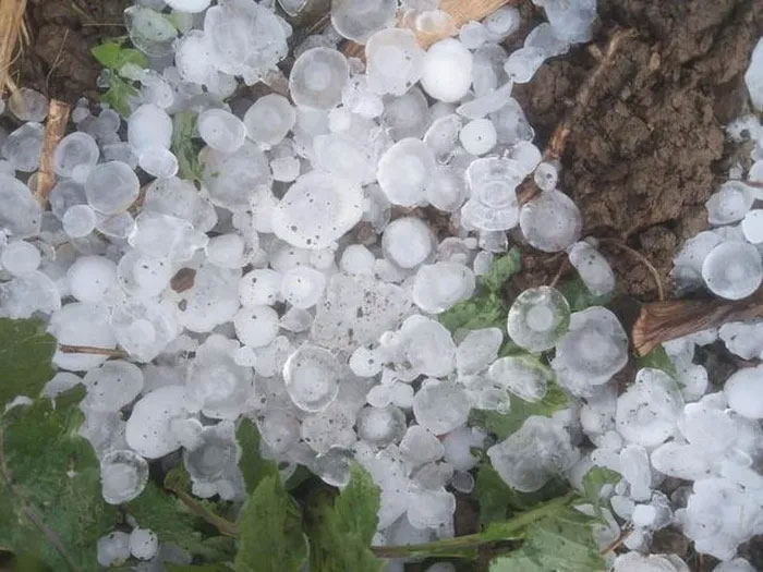 Picture 1 of Hail will also appear a lot in the North in the near future