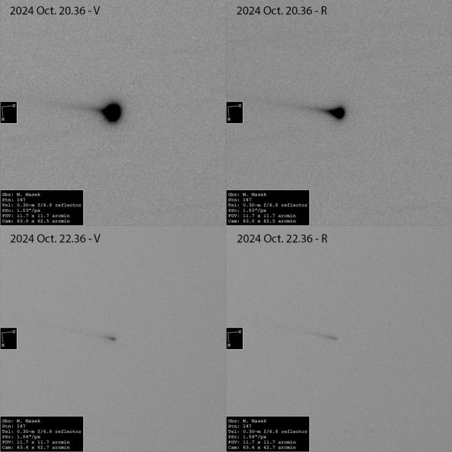 Picture 2 of Halloween Object Suddenly Loses Its 'Heart' Before Earthlings' Eyes