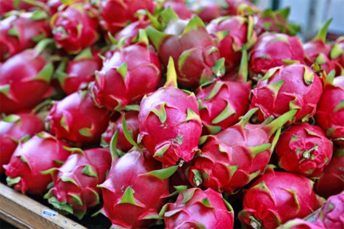 Picture 2 of Health benefits from dragon fruit