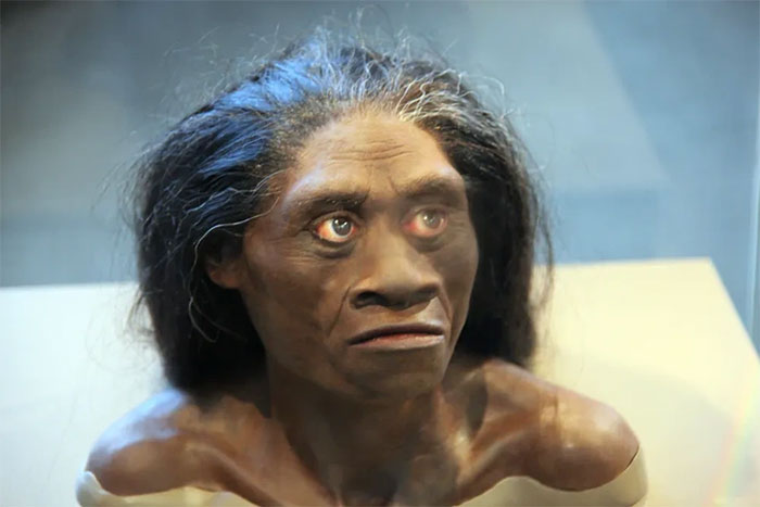 Picture 3 of Hominids that lived about 18,000 years ago may still exist