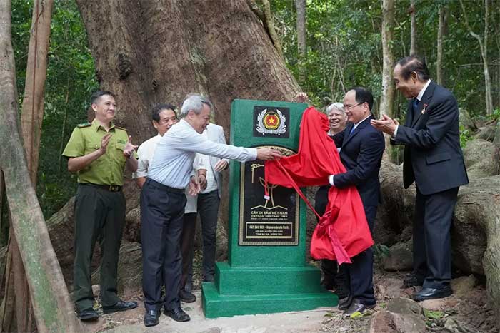Picture 2 of Hon Trung Con Dao sets record for largest bird breeding ground in Vietnam