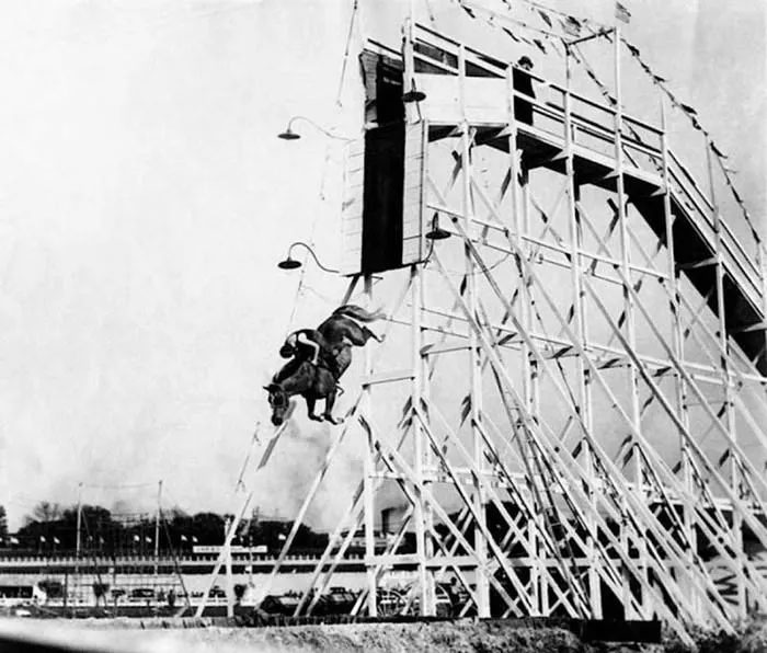 Horse Diving: A Dangerous, Cruel Sport in the 19th Century Picture 2