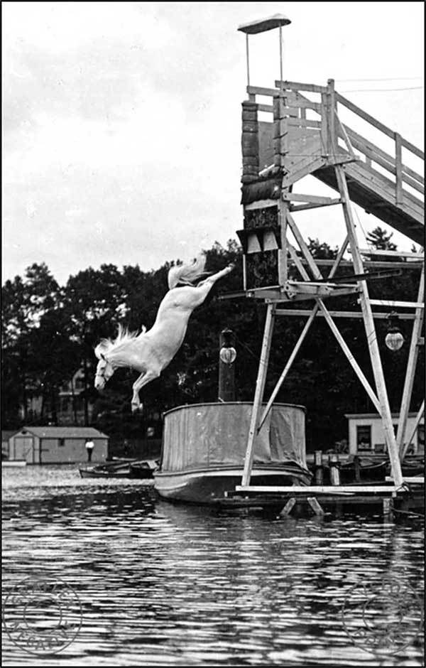 Horse Diving: A Dangerous, Cruel Sport in the 19th Century Picture 3