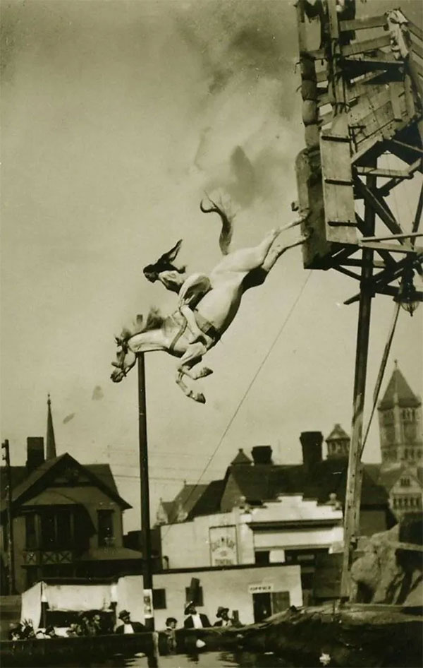 Horse Diving: A Dangerous, Cruel Sport in the 19th Century Picture 4