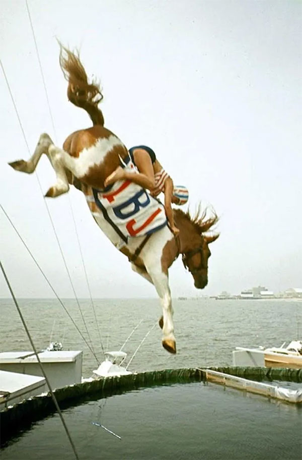 Horse Diving: A Dangerous, Cruel Sport in the 19th Century Picture 7