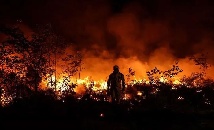 Picture 2 of Hot weather in Europe causes ozone pollution to harmful levels