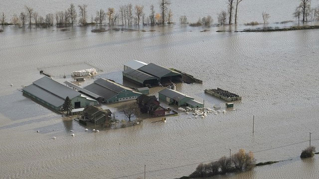 How bad was the flooding in the Pacific Northwest? Picture 1
