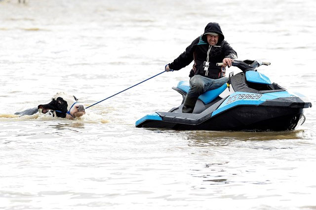 How bad was the flooding in the Pacific Northwest? Picture 3