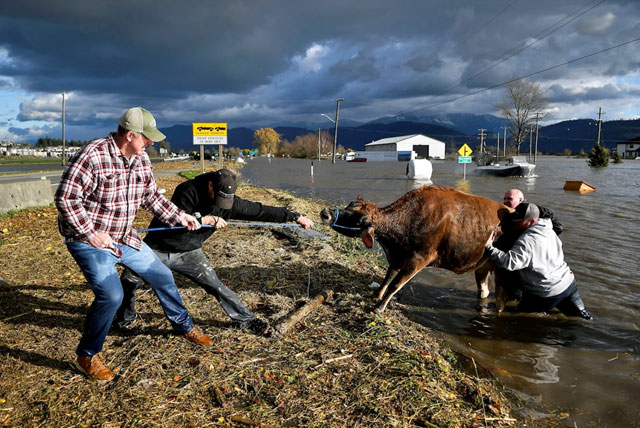 How bad was the flooding in the Pacific Northwest? Picture 4
