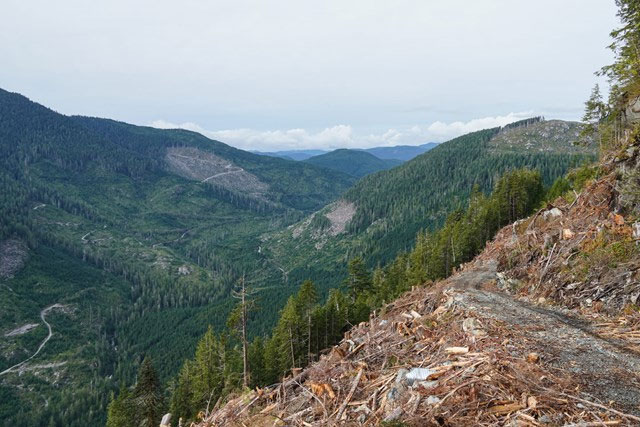 How bad was the flooding in the Pacific Northwest? Picture 6