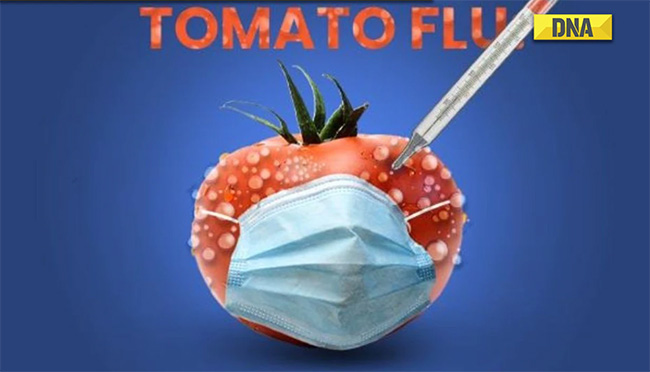 How dangerous is the emerging flu epidemic in India? Picture 1