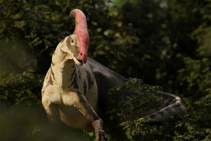 Picture 1 of How did dinosaurs sound?