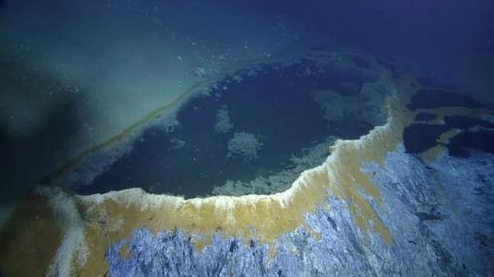How did the Gulf of Mexico escape mass extinction? Picture 1