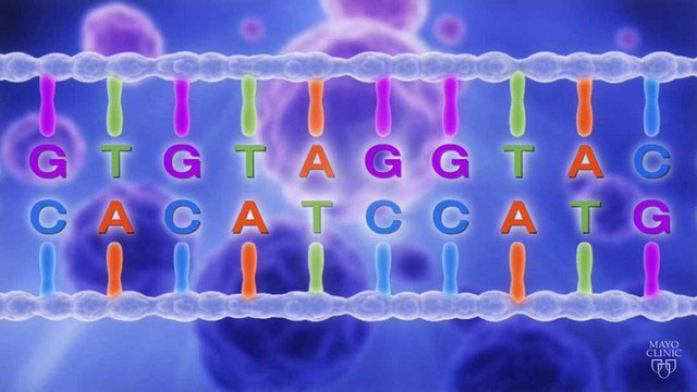 Picture 2 of How do cancer cells exist and grow in our bodies?