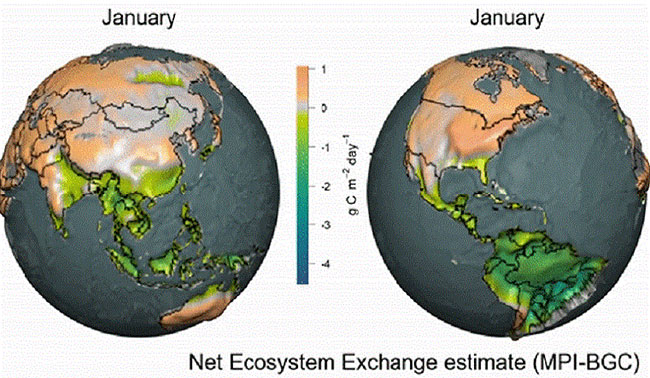 Picture 1 of How does the earth breathe CO2?
