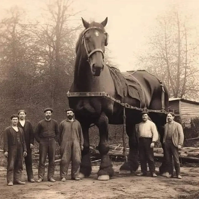 Picture 4 of How is artificial intelligence used to create fake history?