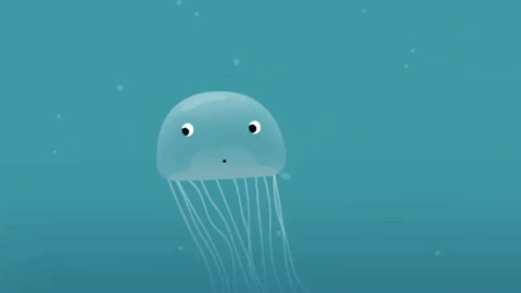 Picture 7 of How jellyfish stings and how to treat jellyfish stings