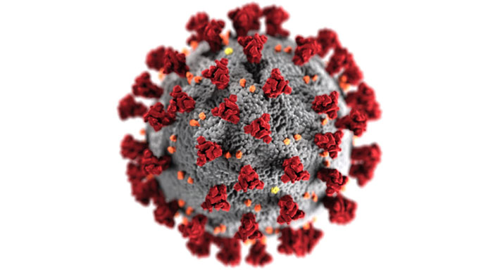 Picture 4 of How Moderna designed a breakthrough Covid-19 vaccine in just 2 days?