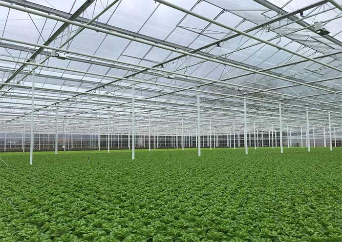 Picture 1 of How the Netherlands responds to climate change